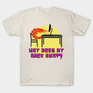 Why Does My Back Hurt? T-Shirt